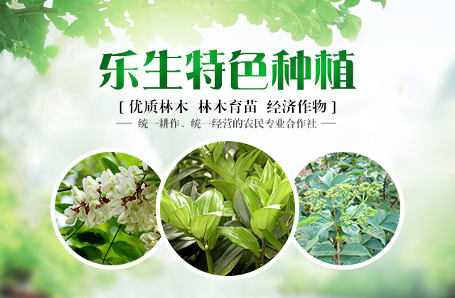 武冈市乐生种养农民专业合作社_武冈种养合作社|乐生合作社|油茶种植